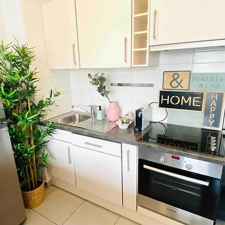 Apartment Charming Duplex In City Center With 2 Terraces - S6