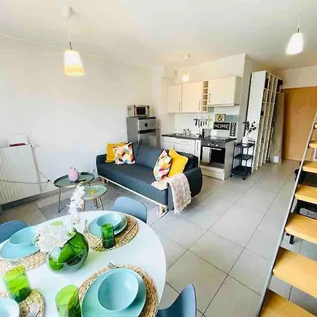 Charming Duplex In City Center With 2 Terraces - S6 Apartment *
